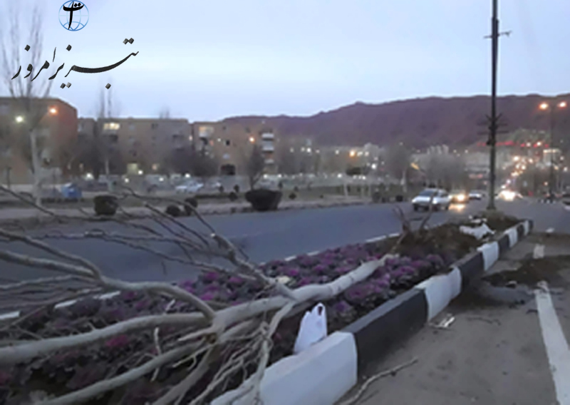 Tree Tabriz Accident